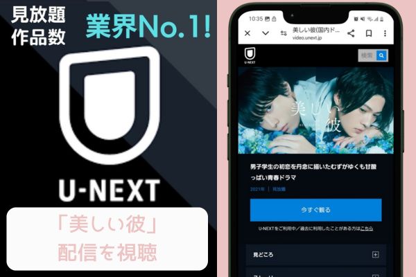 unext 美しい彼 配信