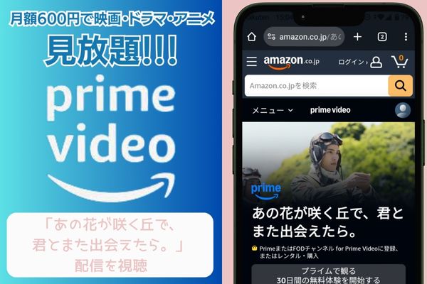 amazon あの花が咲く丘で、君とまた出会えたら。 配信