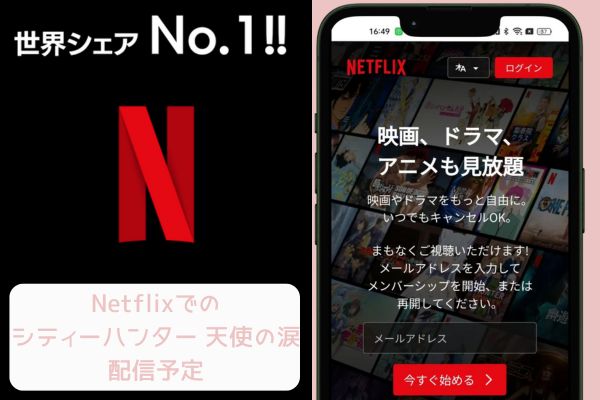 netflix 劇場版 シティーハンター 天使の涙