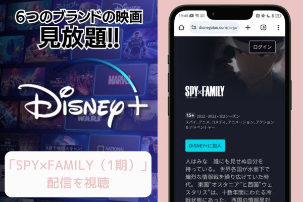 Disney+ SPY×FAMILY（スパイファミリー）1期 配信