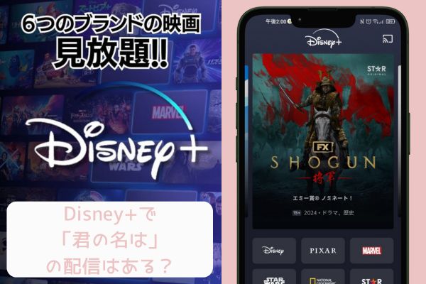 君の名は disney