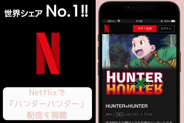 Netflix ハンターハンター 配信