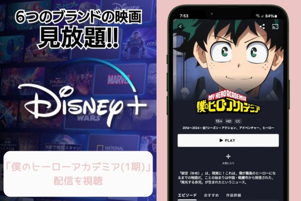 disney 僕のヒーローアカデミア（1期） 配信