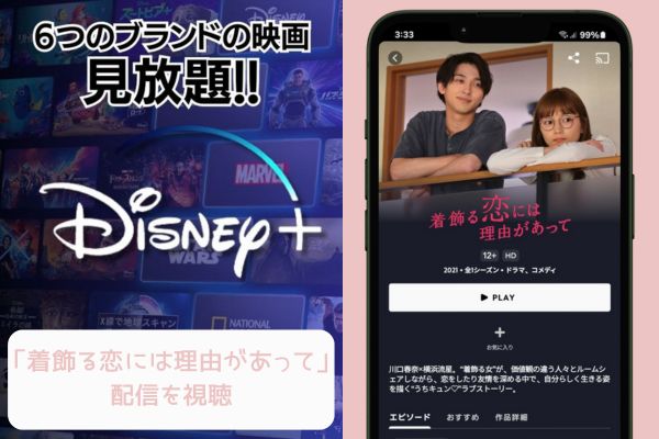 disney 着飾る恋には理由があって 配信