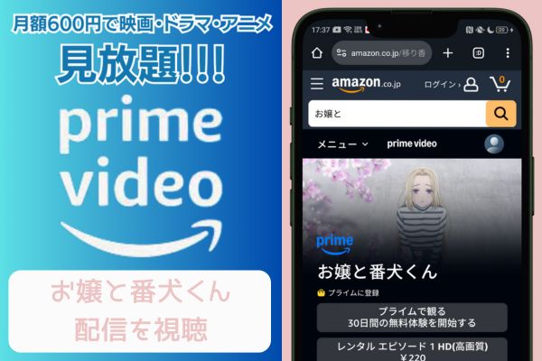 amazon お嬢と番犬くん 配信