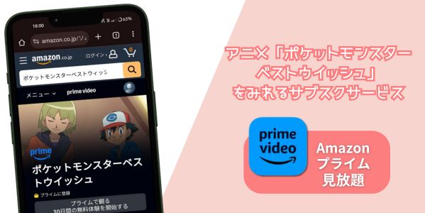 ポケットモンスター ベストウィッシュ 配信