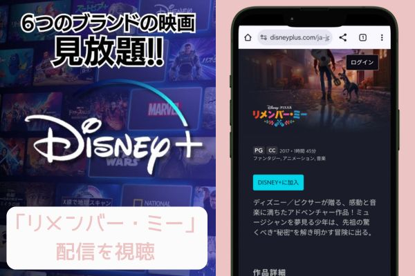 リメンバー・ミー disney+ 配信