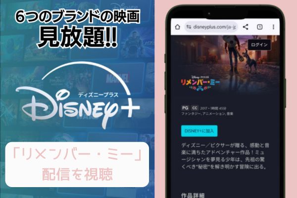 disney リメンバー・ミー 配信