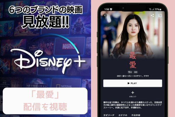 disney　最愛　配信