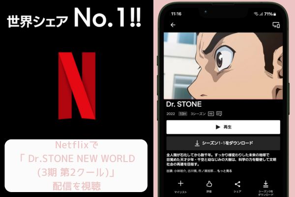 netflix Dr.STONE NEW WORLD (3期 第2クール) 配信