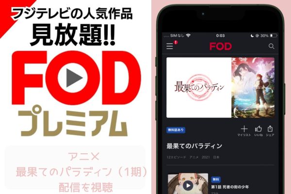 fod 最果てのパラディン（1期） 配信