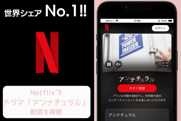 netflix アンナチュラル 配信