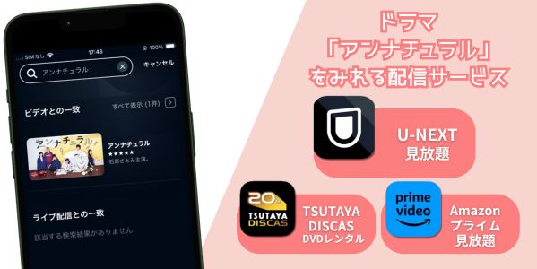 アンナチュラル 配信