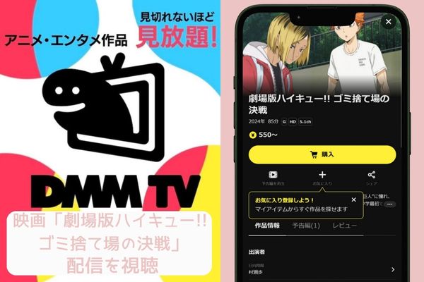 dmm 劇場版ハイキュー!! ゴミ捨て場の決戦 配信