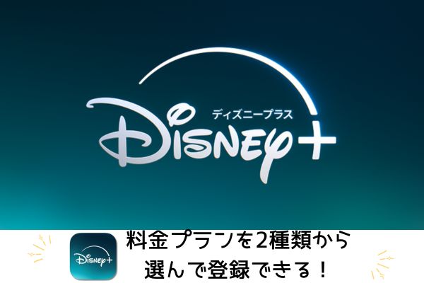 Disney+は料金プランを2種類から選べる