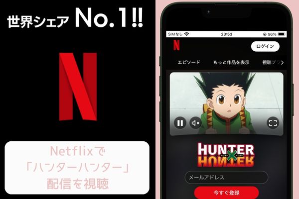 Netflix ハンターハンター 配信