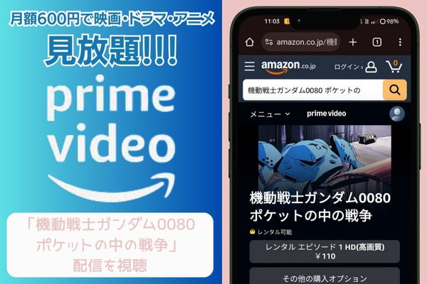 amazonプライム ポケットの中の戦争 配信