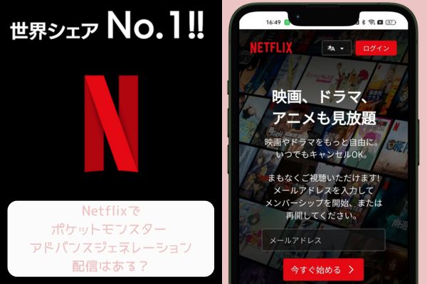 netflix ポケットモンスター アドバンスジェネレーション