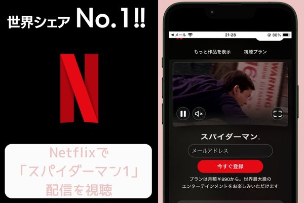netflix スパイダーマン1 配信
